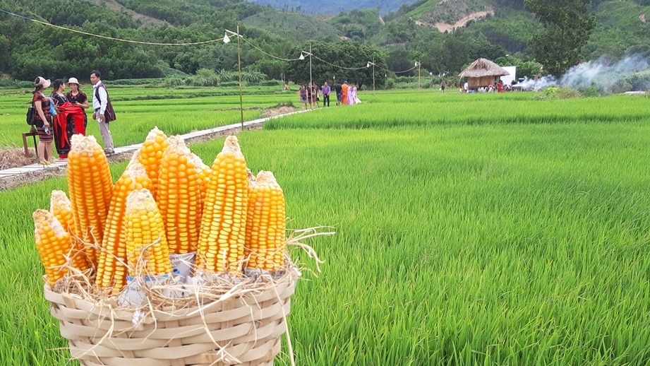 Farmstay - loại hình du lịch nghỉ dưỡng đang "nở rộ" ở các vùng quê