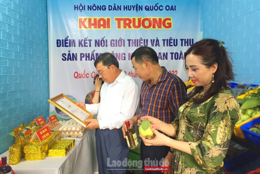 Hỗ trợ nông dân quảng bá, tiêu thụ sản phẩm nông sản an toàn của địa phương