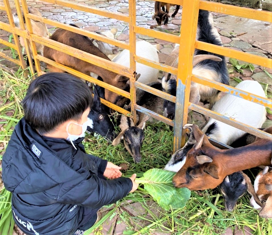 Nâng cao kỹ năng làm kinh tế nông nghiệp