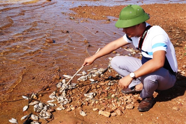 Hà Tĩnh khẩn trương tìm nguyên nhân cá chết bất thường tại hồ Bộc Nguyên