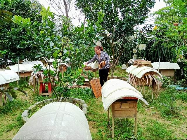 Hà Tĩnh: Lan tỏa những tấm gương phụ nữ làm kinh tế giỏi