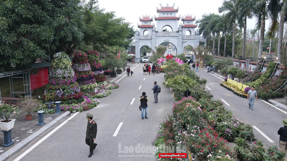 Huyện Mê Linh sẵn sàng tổ chức Festival hoa đầu tiên