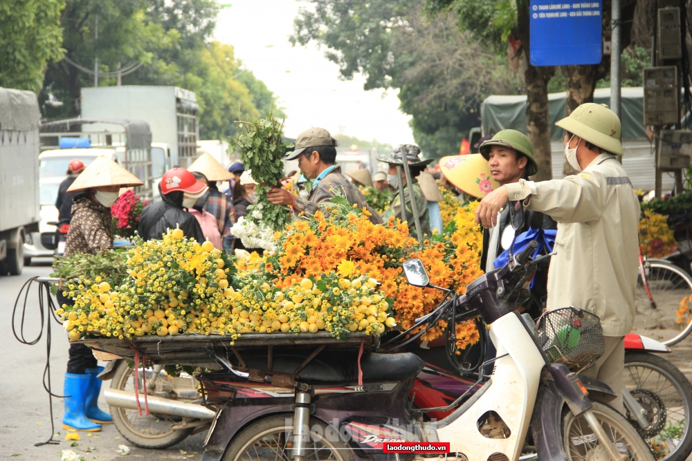 Chợ hoa Mê Linh nhộn nhịp trước thềm Tết Nguyên đán Quý Mão 2023