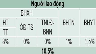 Mức đóng bảo hiểm xã hội bắt buộc đối với người lao động