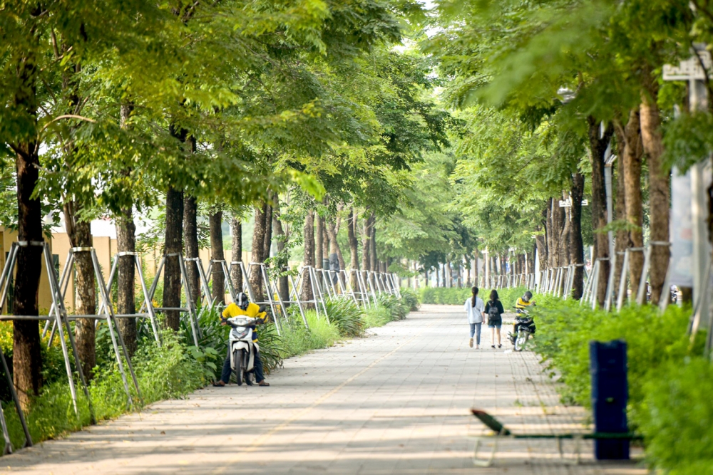 Bảo vệ không gian xanh đô thị