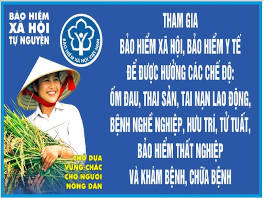 Nghỉ không lương 3 tháng, có thể tham gia BHXH tự nguyện?