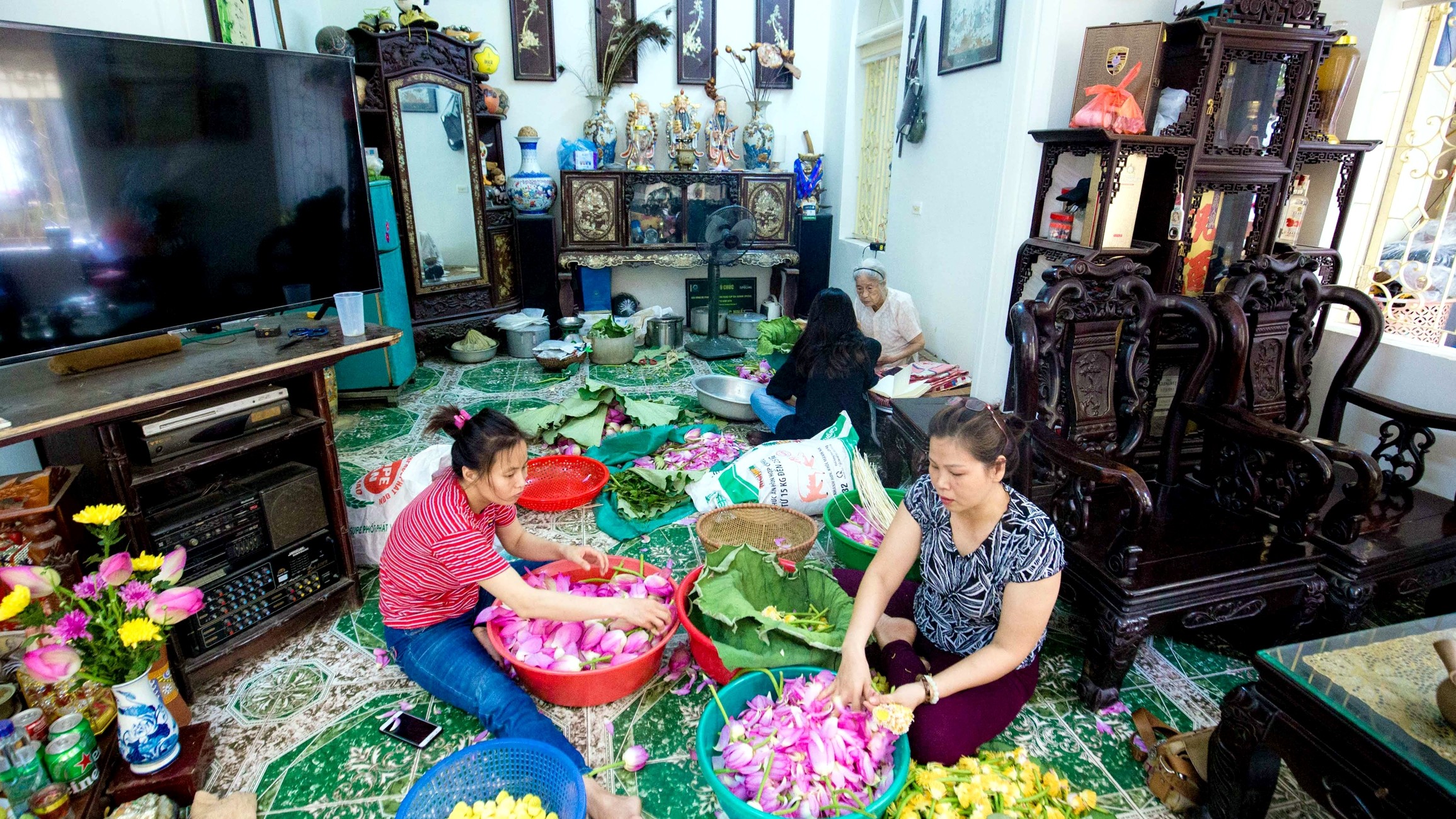 Nhân rộng, phát huy hiệu quả các mô hình trồng sen