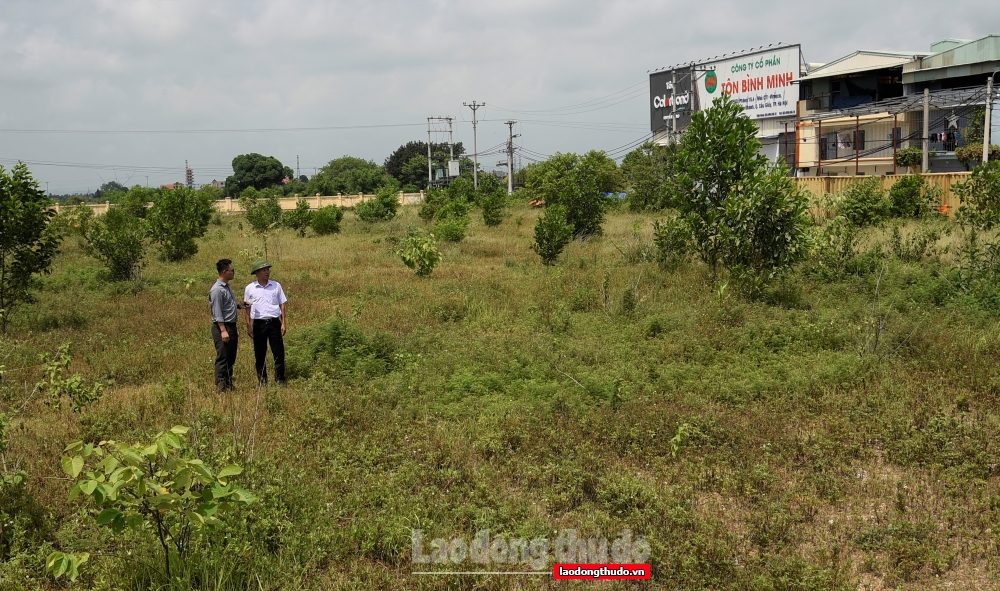 Xã Thanh Thùy: Điểm sáng bảo vệ môi trường làng nghề