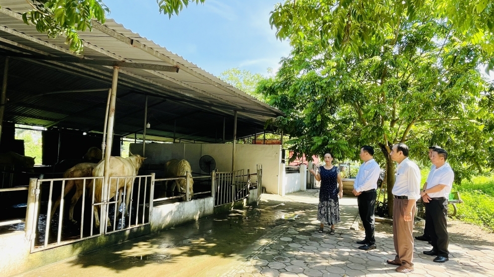 “Dân vận khéo” thu hút đông đảo nhân dân tham gia các phong trào thi đua yêu nước