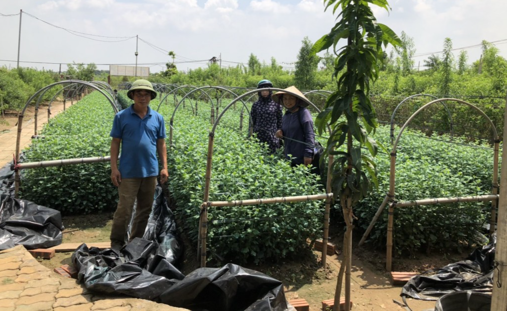 Quận Tây Hồ: “Đòn bẩy” giúp hội viên phụ nữ phát triển kinh tế