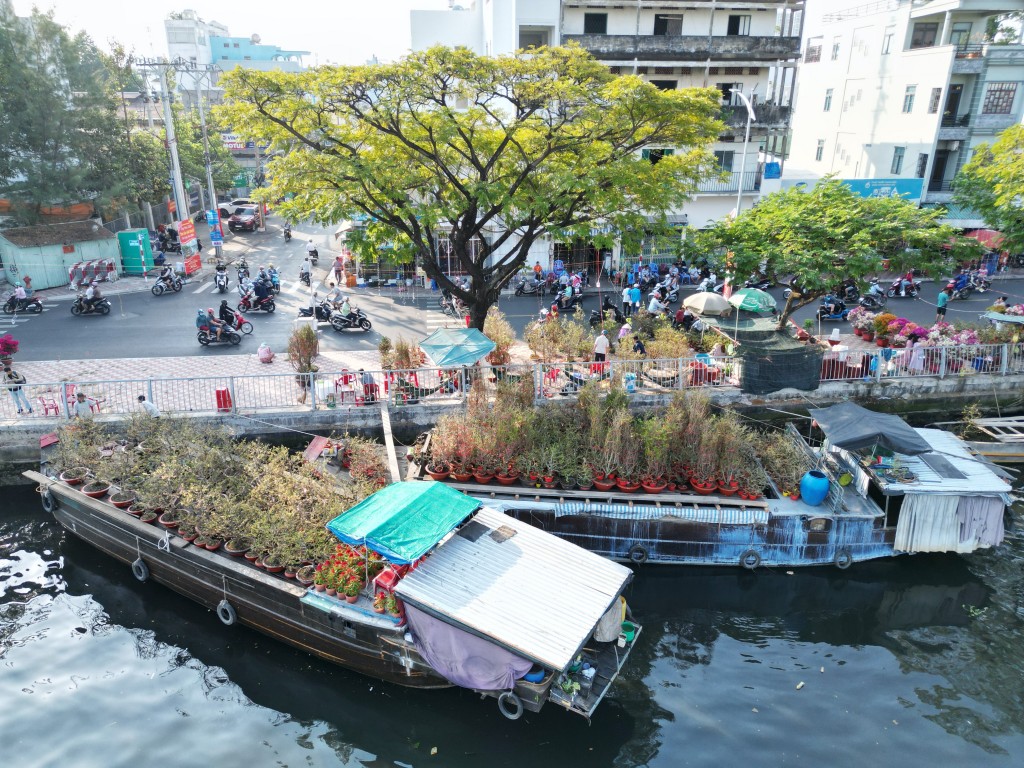 Không khí Tết ngập tràn chợ hoa xuân “trên bến dưới thuyền”