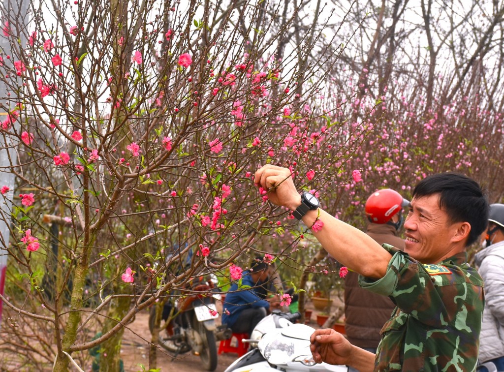 Chợ hoa Tết giữa lòng Thành cổ Sơn Tây