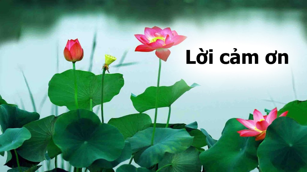 Lời cảm ơn