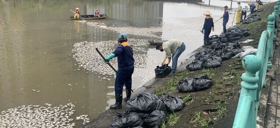 Lý giải nguyên nhân cá chết tại hồ Thủy Sứ, quận Tây Hồ