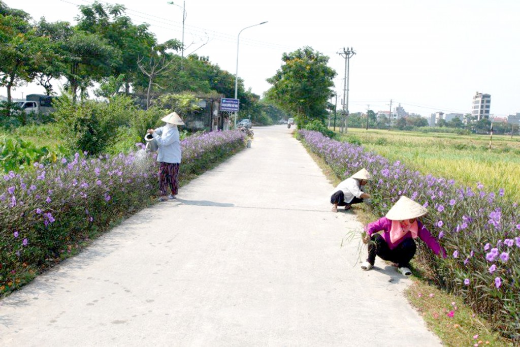 Những miền quê khoác áo mới