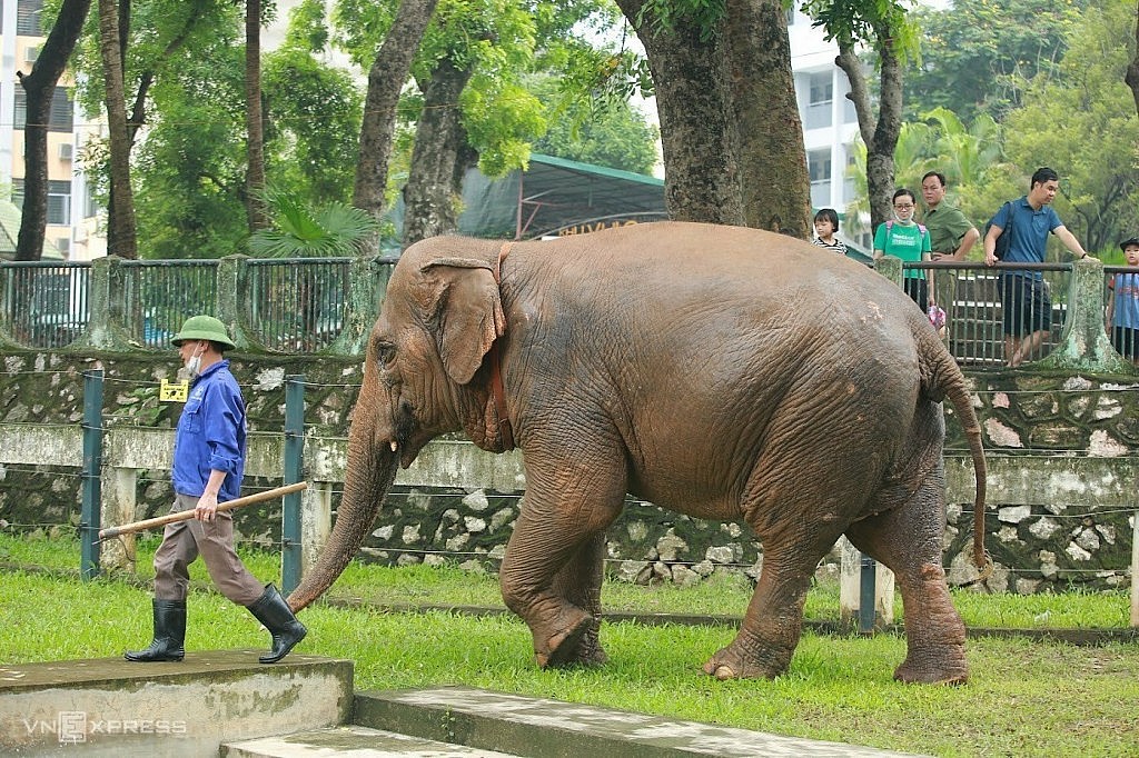 “An toàn lao động” dần trở thành nét đẹp văn hóa