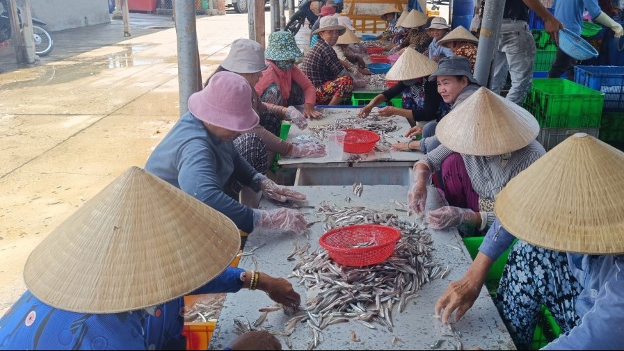Những phận đời “4 không” của lao động nữ vùng biển Khánh Hòa