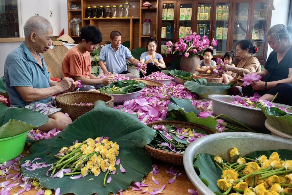 Xây dựng và quảng bá rộng rãi thương hiệu Sen Tây Hồ