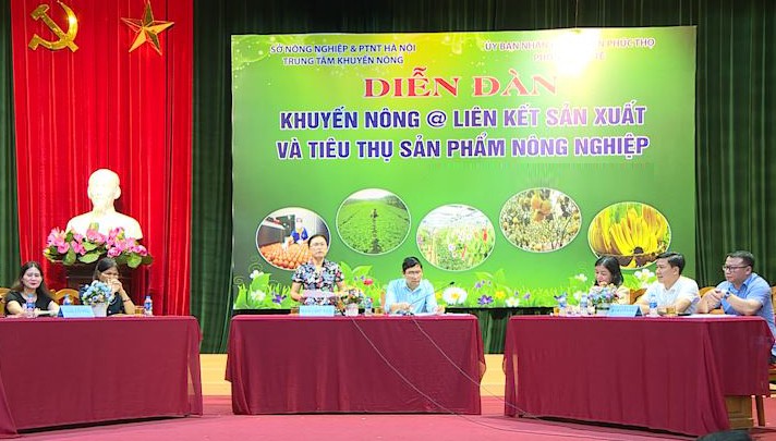 Thúc đẩy liên kết sản xuất và tiêu thụ sản phẩm nông nghiệp