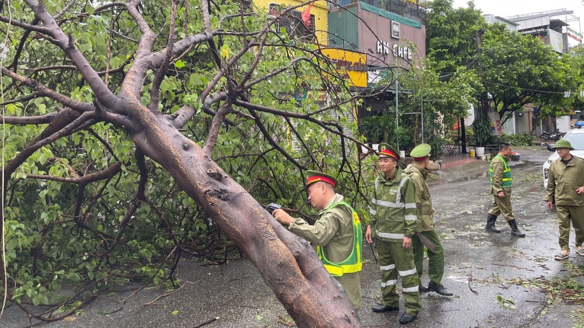 Hà Nội: Khẩn trương khắc phục 14.660 cây đổ và cành gãy trên toàn địa bàn