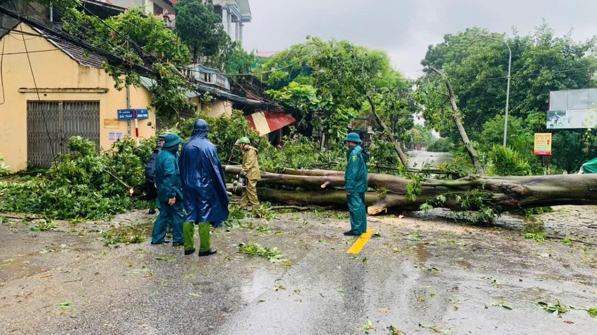 Huyện Đan Phượng khắc phục hậu quả sau bão, hỗ trợ người dân ổn định cuộc sống