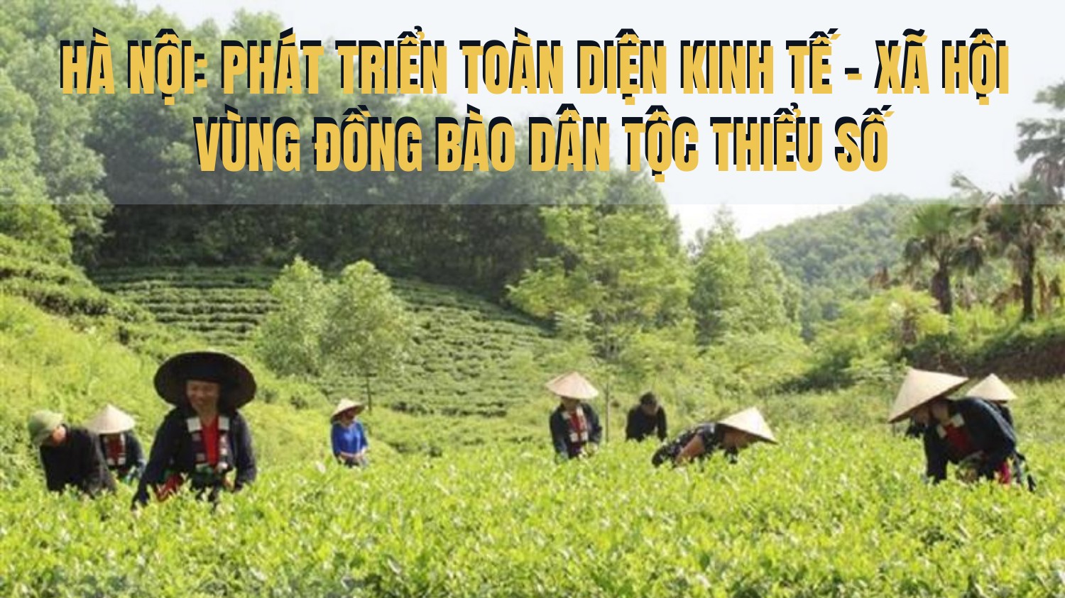 Hà Nội: Phát triển toàn diện kinh tế - xã hội vùng đồng bào dân tộc thiểu số