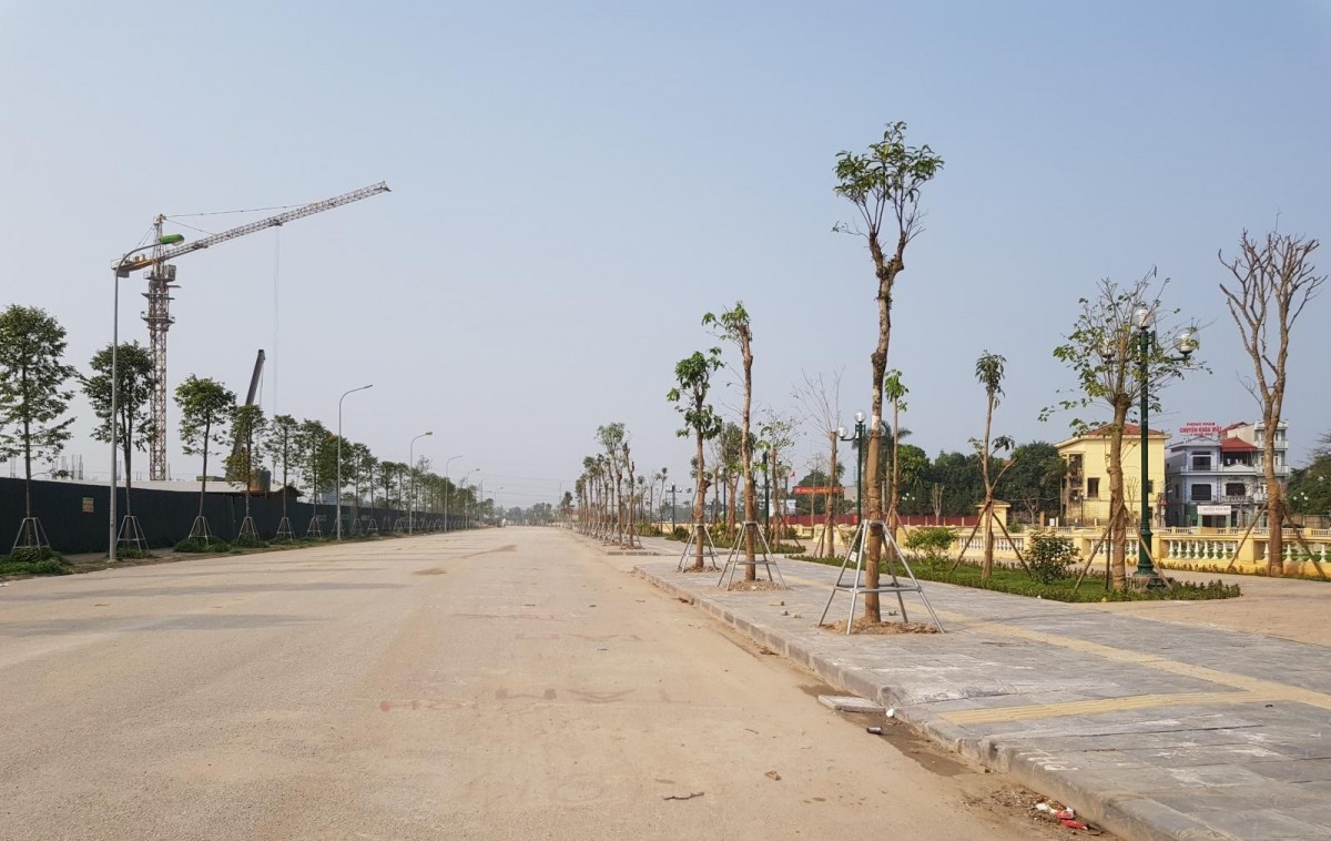 Tìm phương án tháo gỡ khó khăn cho 22 gia đình từng là công nhân nông trường