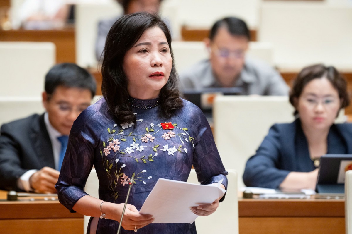 Đại biểu Quốc hội: Tài năng trong hoạt động công vụ là tài năng đặc thù