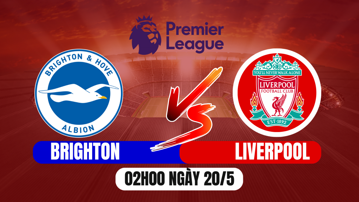 Nhận định Brighton vs Liverpool: Thử thách cuối mùa cho Lữ đoàn đỏ