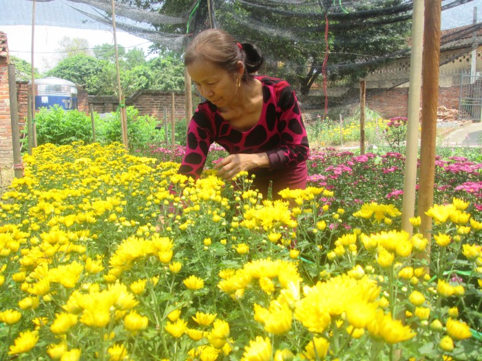 Nữ trưởng thôn có “tinh thần thép”