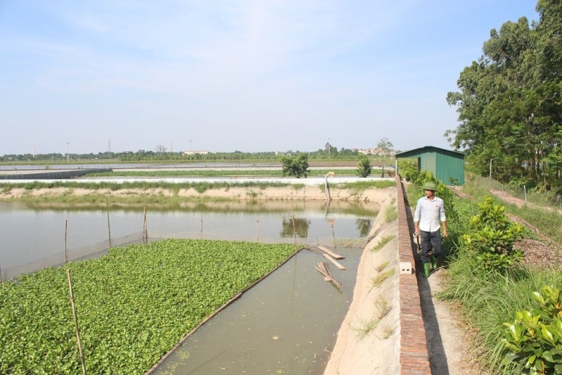 5 tháng đầu năm, sản lượng thủy sản nuôi trồng tăng ở mức khá