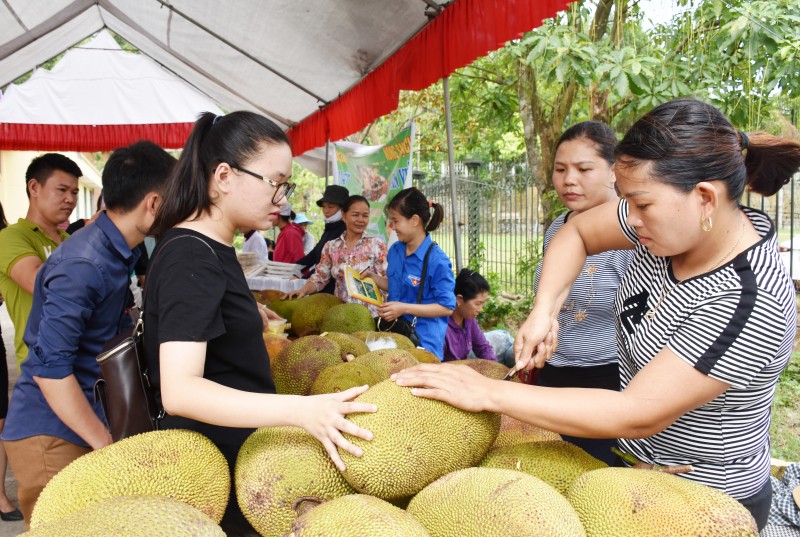 Sơn Tây nỗ lực xây dựng thương hiệu các sản phẩm chủ lực