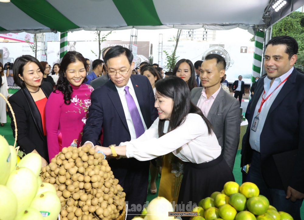 Hơn 300 nông sản, đặc sản cá tra Đồng Tháp được giới thiệu tại Hà Nội