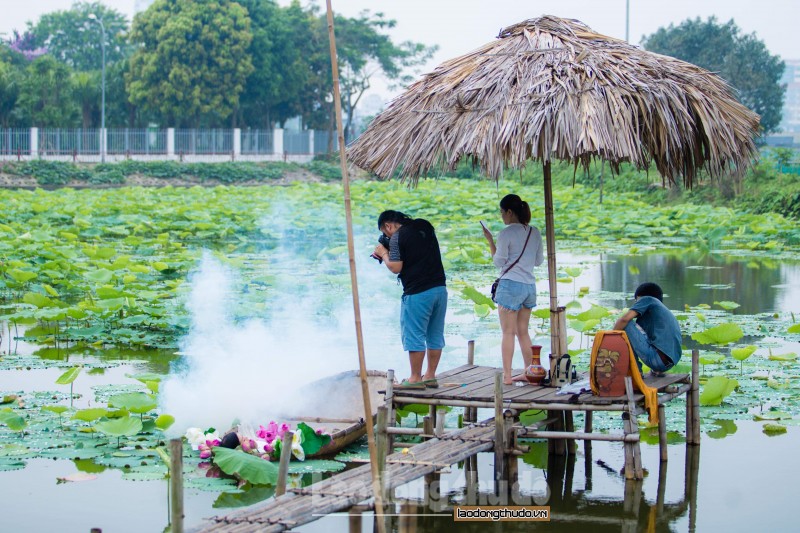 Nét đẹp Hồ Tây mùa sen nở