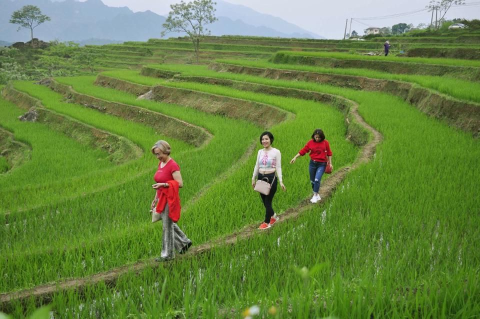 Mở cửa hoàn toàn, du lịch Việt khởi sắc